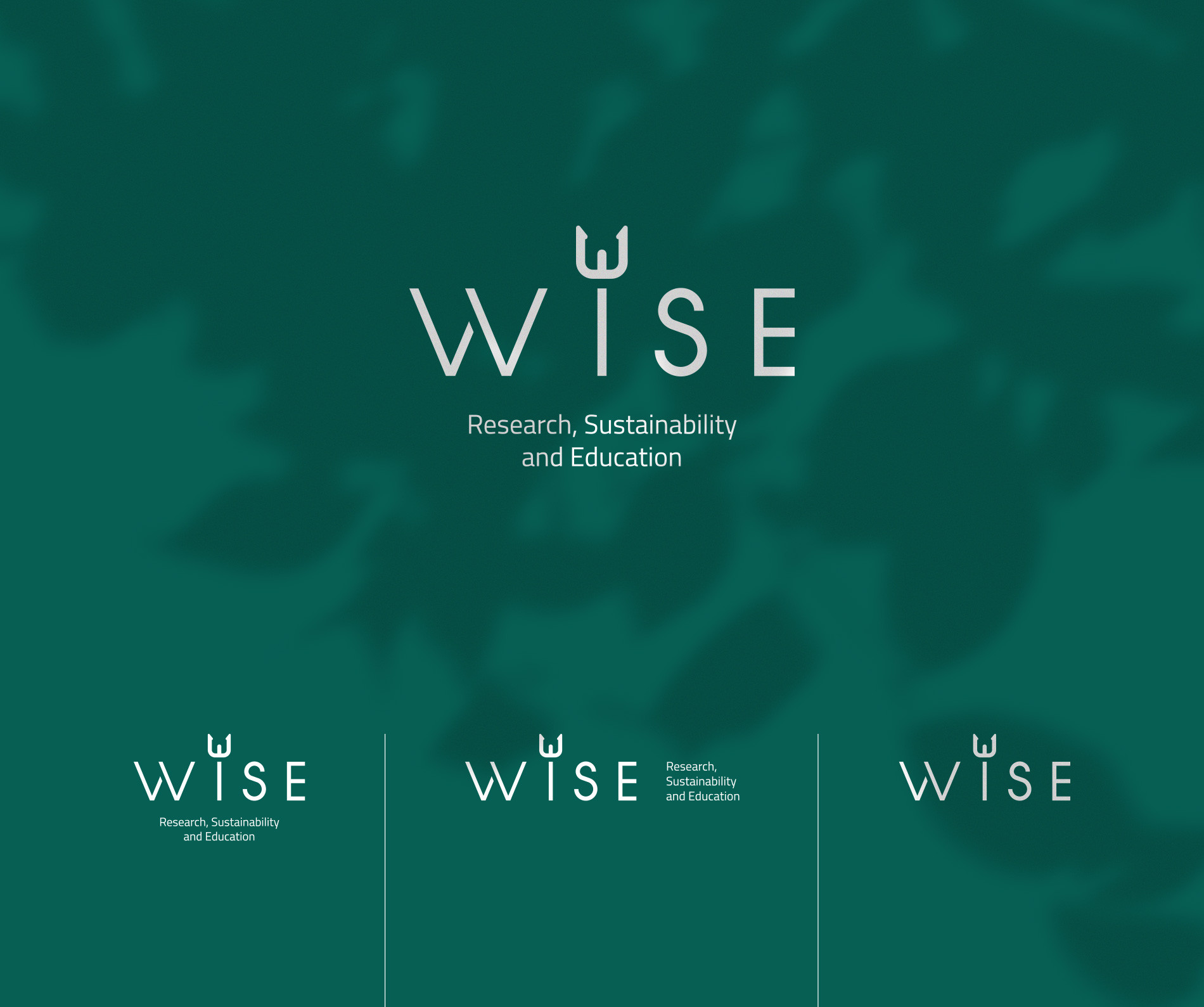 wise 4